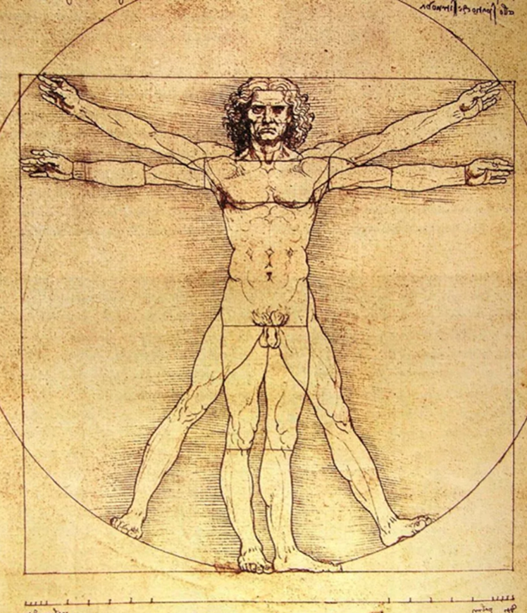 technium homem vitruviano